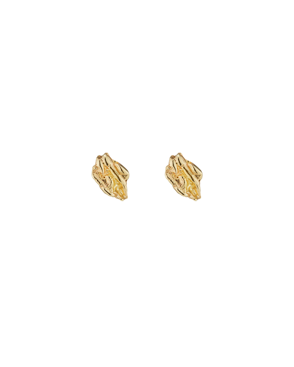 VI Shard Earrings