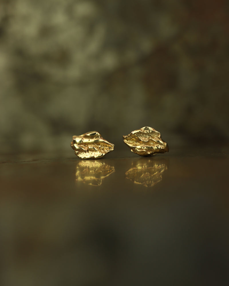 VI Shard Earrings