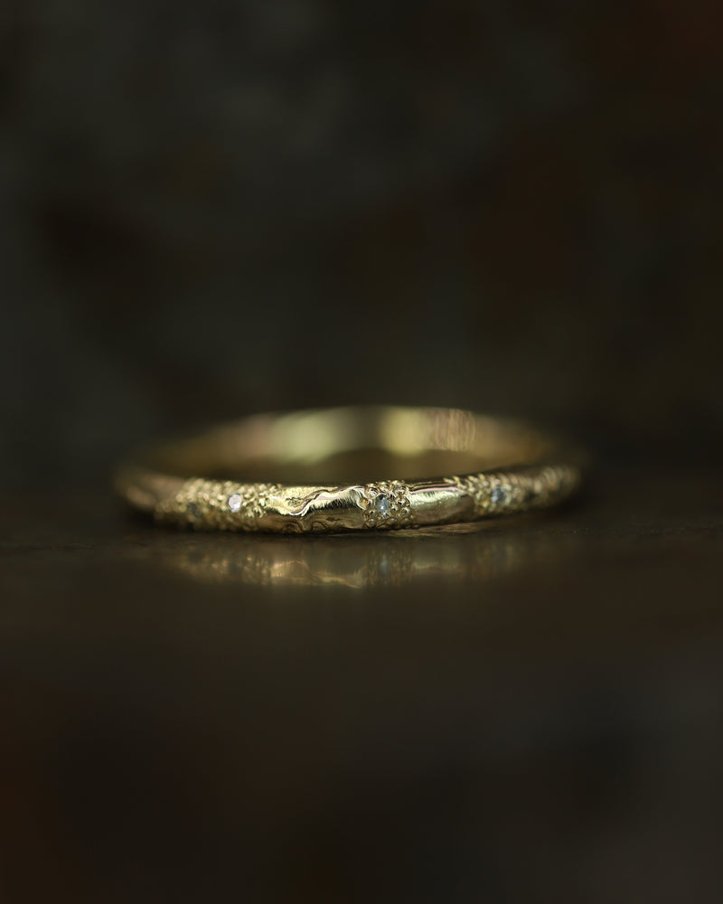 X 2mm White Diamond Scatter Ring