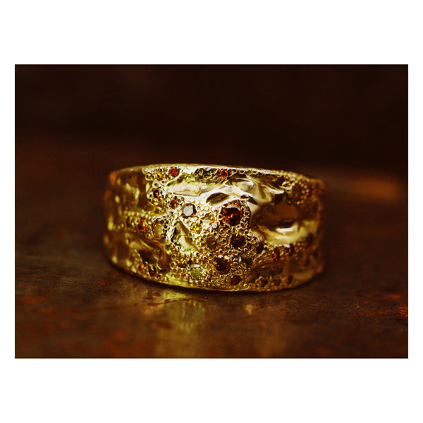 LXI Mixed Colour Diamond Shield Ring
