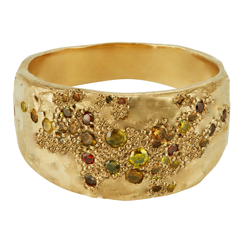 LXI Mixed Colour Diamond Shield Ring
